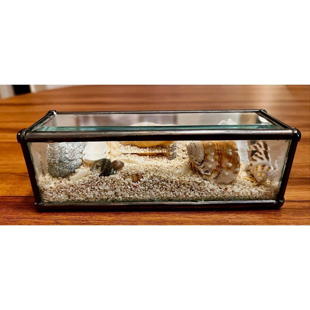 Sandscape Hawaiian Beveled Glass Tabletop Sand Scape Rectangle Beautiful Decor